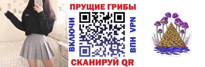 Псилоцибиновые грибы мицелий  Купить  Новый Оскол 